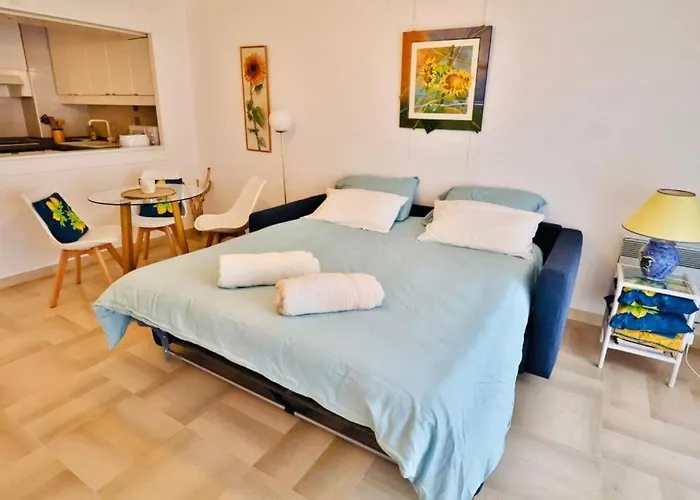 Saint Jean Cap Ferrat Grand Studio Avec Terrasse
