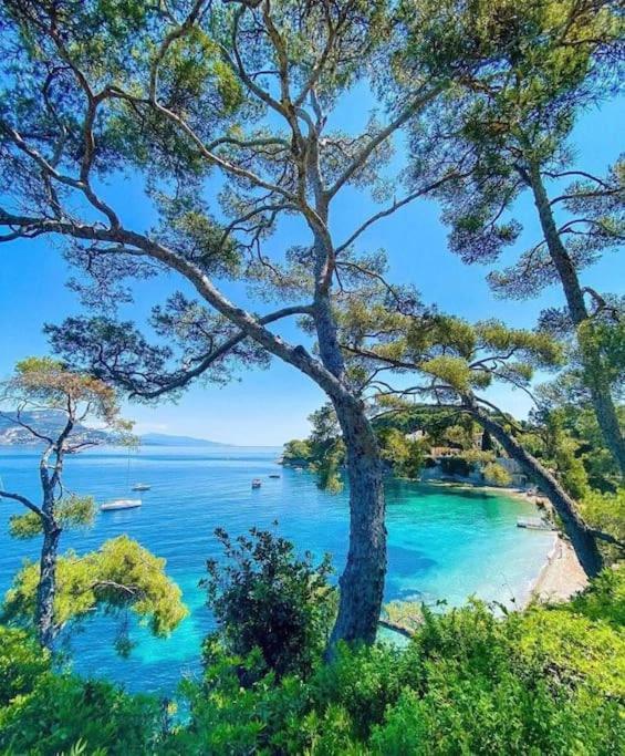 Jean Cap Ferrat Grand Avec Terrasse Appartement Saint-Jean-Cap-Ferrat